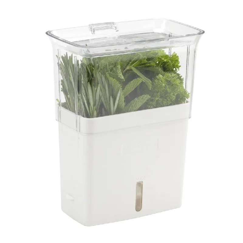 Cole & Mason Fresh Herb Keeper, Clear