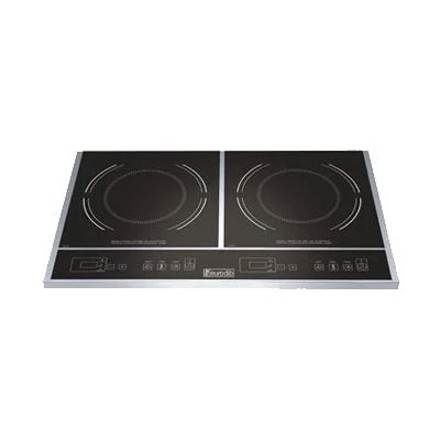 Eurodib 14.1" x 23.5" Countertop Induction Double Range 120V