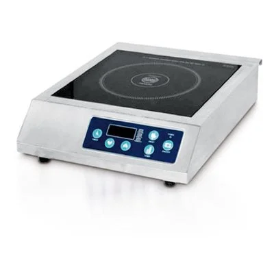 Eurodib 16.4" x 12.9" Countertop Induction Range 240V 3200W