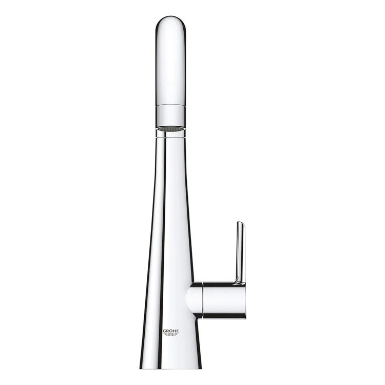 Grohe Zedra/Ladylux) Single Handle Beverage Faucet (Cold Water Only) with Filtration