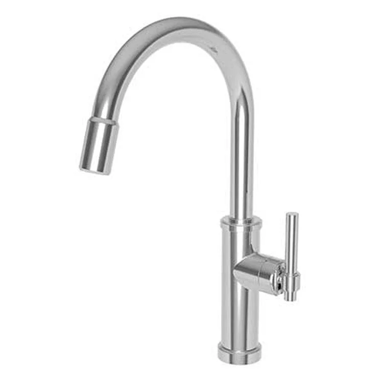 Kitchen Faucet Seager 1 Lever ADA Polished Brass Uncoated Living Pull Down Spout Height 10-4/5 Inch 1.8 Gallons per Minute