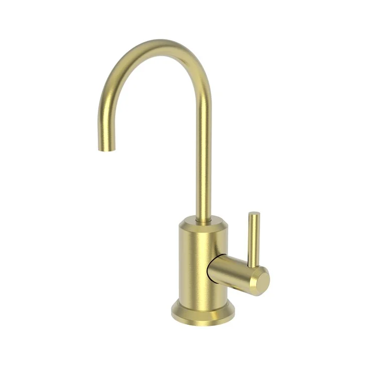 Cold Water Dispenser Jeter 1 Lever ADA Gooseneck Satin Brass PVD