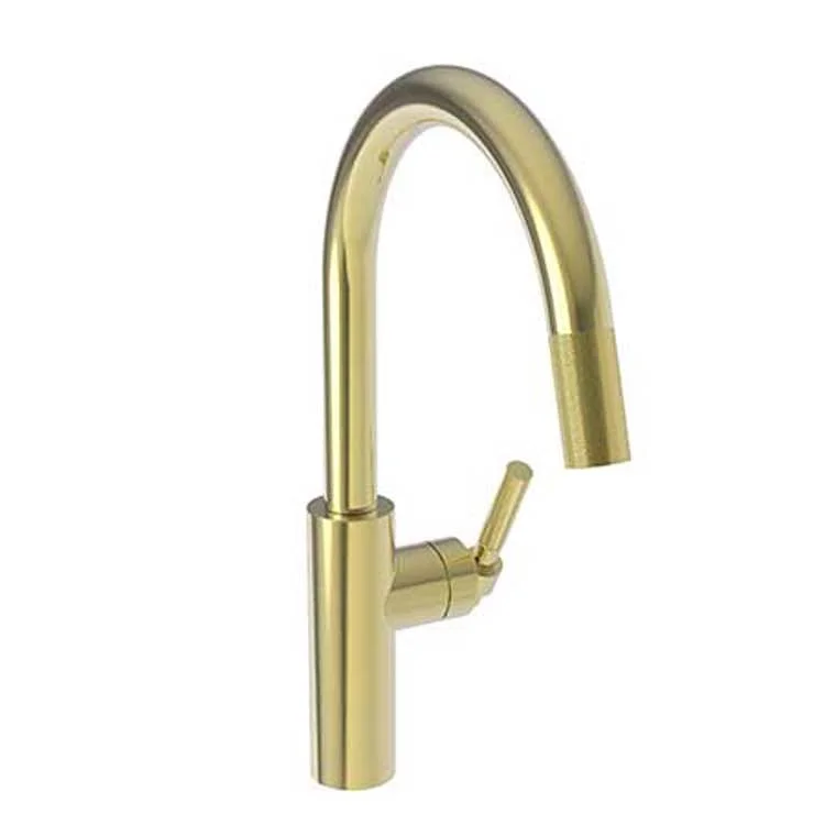 Kitchen Faucet Muncy 1 Lever ADA Forever Brass PVD Pull Down Spout Height 9-3/5 Inch 1.8 Gallons per Minute